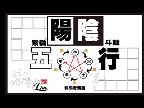 紫字五行